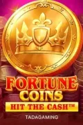 Fortune Coins slot más popular en RICO777 COM